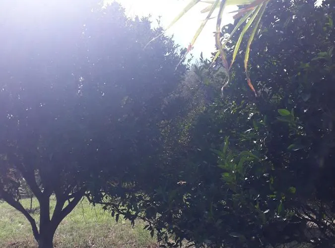 公寓 Stromboliparadise Piscita 斯特龙博利